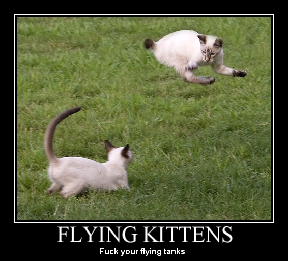flyingcats