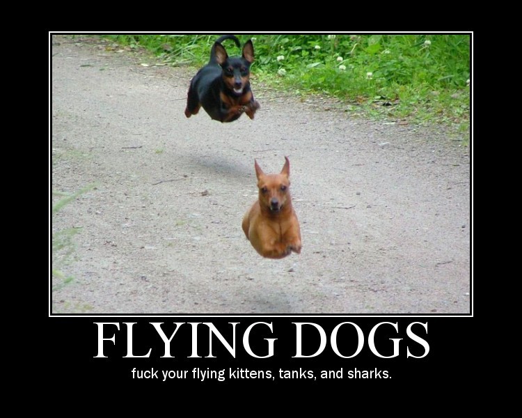 flyingdogs